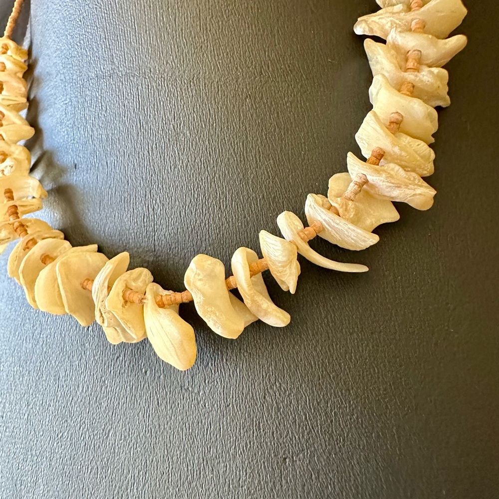 Shell Choker - Picture 4 of 8